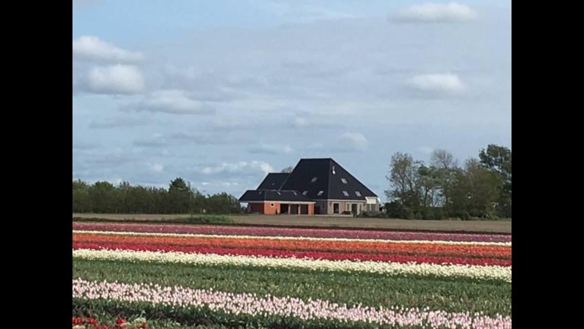 Bed and Breakfast Boerderij De Waard Anna Paulowna Exteriér fotografie